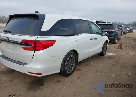 2024 Honda Odyssey Ex-L z USA, uszkodzony, nr VIN 5FNRL6H66RB022111